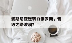 B体育体育在线-关于波斯尼亚逆转白俄罗斯，晋级之路波澜？的信息