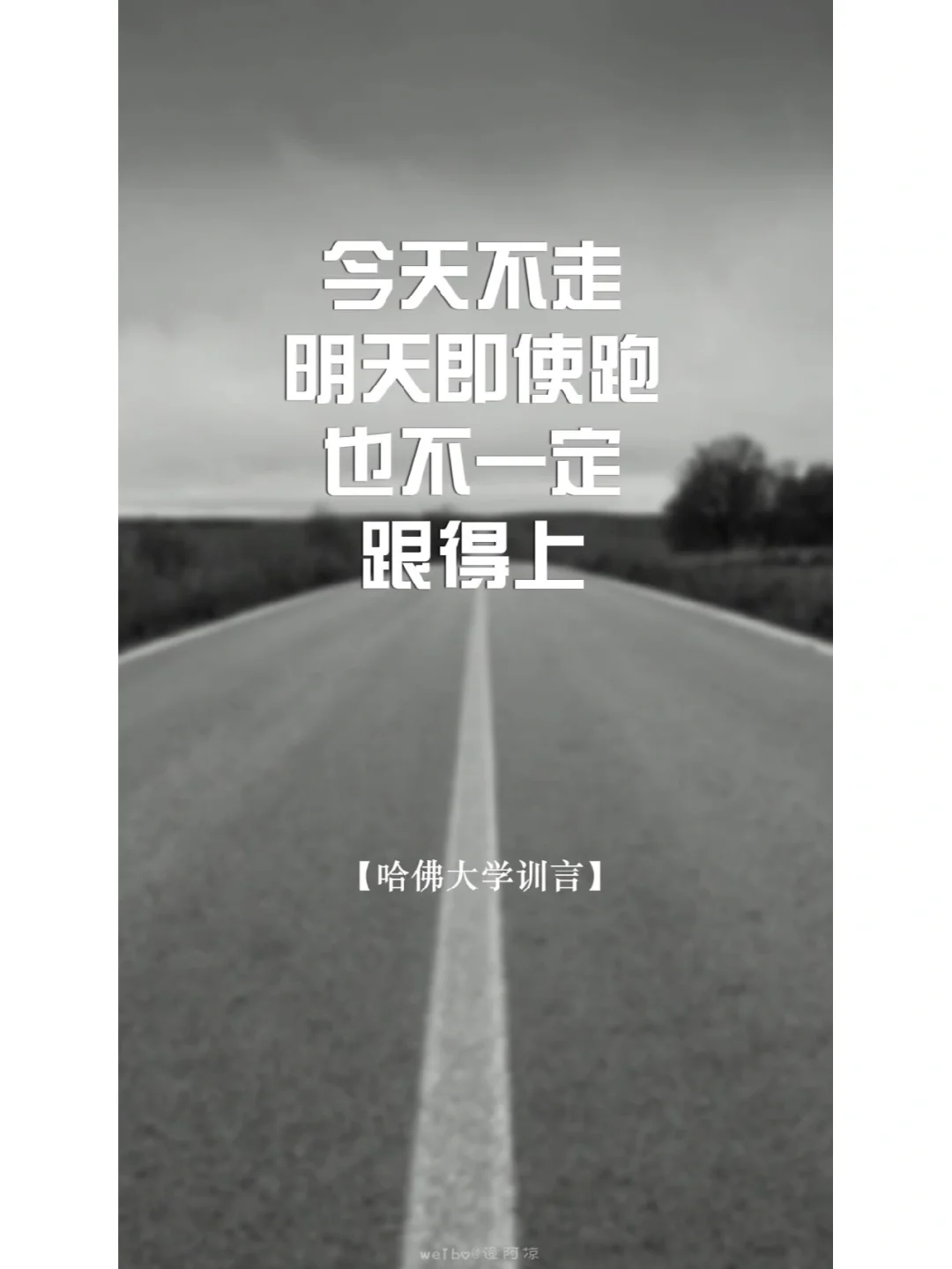 贝西克塔奋力一搏，主场不幸告负，可惜落败