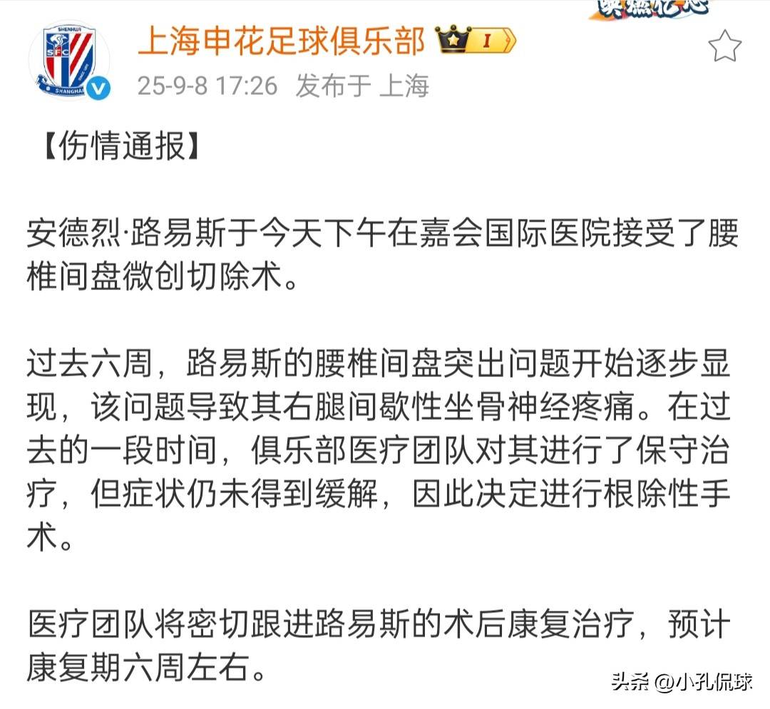 上海申花客场一球负于辽宁沈阳，遭遇钱袋的简单介绍