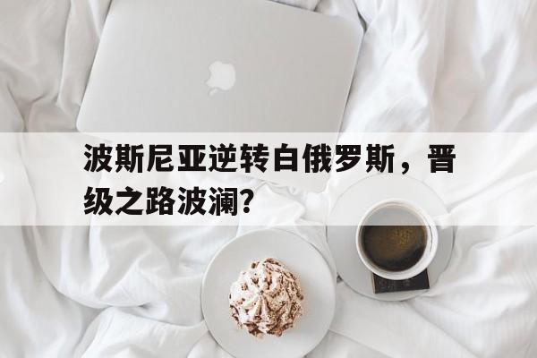 关于波斯尼亚逆转白俄罗斯，晋级之路波澜？的信息